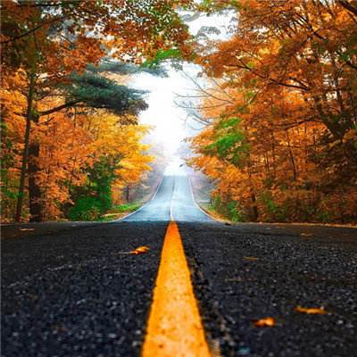 电力与算力：为AI时代重构数据中...