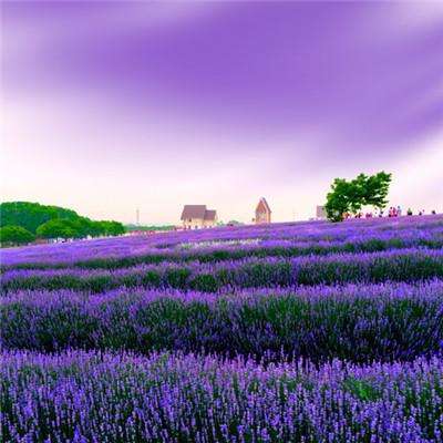 传销“黑名单”，11城上榜